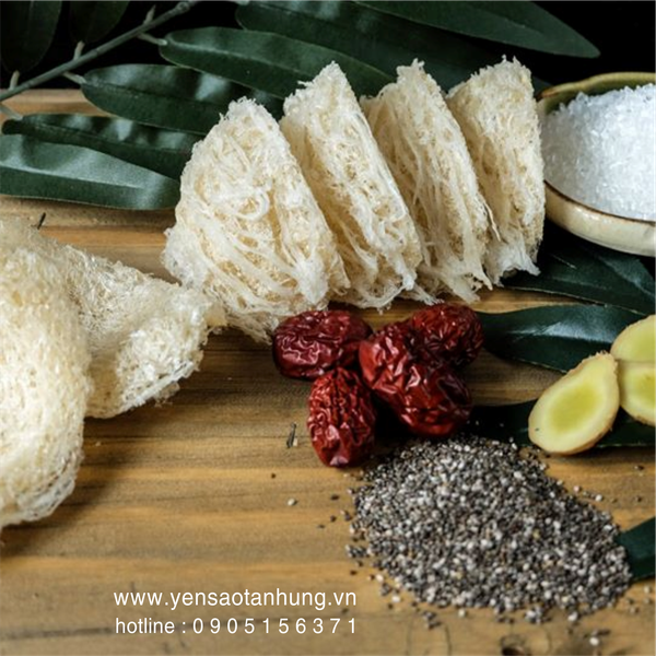 Yến Sào Cù Lao Chàm tại Tp Pleiku