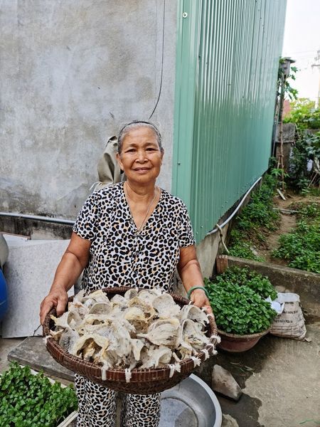 Yến sào Đà Nẵng nguyên chất, tổ yến trên đá, Yến sào Tấn Hưng Đà Nẵng