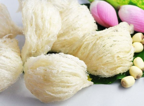 Tổ yến làm bằng gì? Tổ yến có thực sự tốt như vậy không?