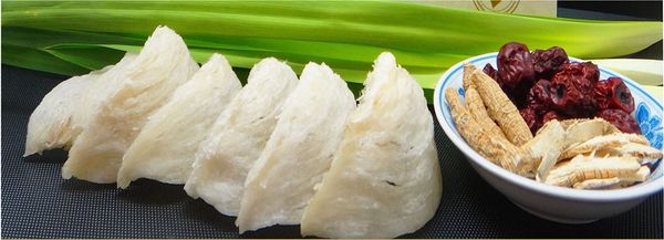 Tổ yến là gì ? Yến sào là gì ?