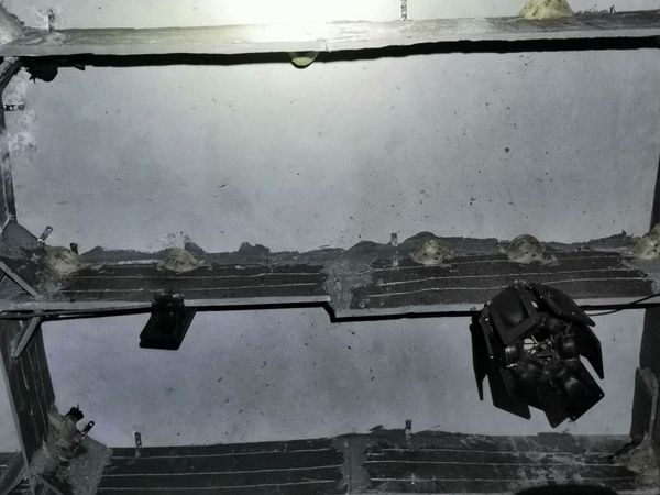 Tổ Yến thiên nhiên trên đá, tổ trắng, sạch - Yến sào Tấn Hưng