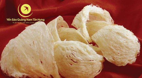 Yến Sào Cù Lao Chàm tại Đà Lạt