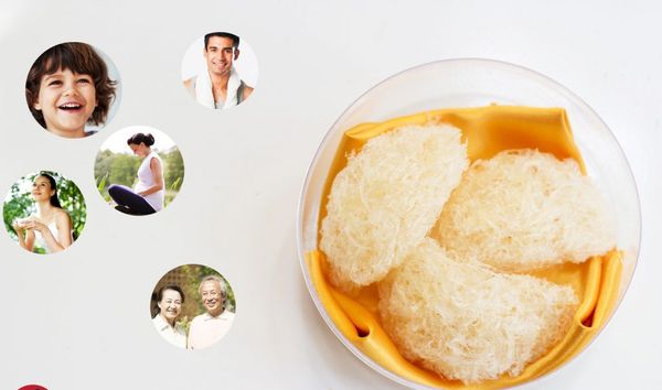 Ăn tổ yến bổ gì ? tổ yến có tác dụng gì - Yến sào Tấn Hưng