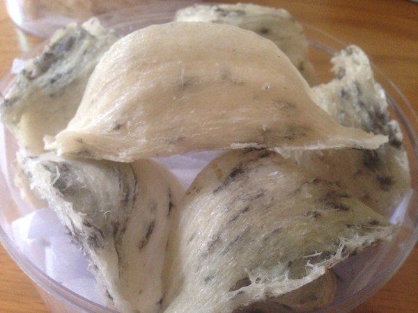 Yến Sào - Món ăn quý giá từ thiên nhiên