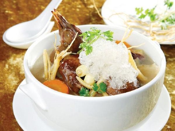 Tổ yến hầm bồ câu