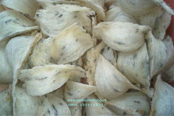 Yến Sào Cù Lao Chàm tại Buôn Ma Thuột