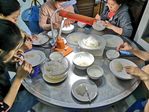 Làm sạch tổ yến. Yến sào Quảng Nam Đà Nẵng