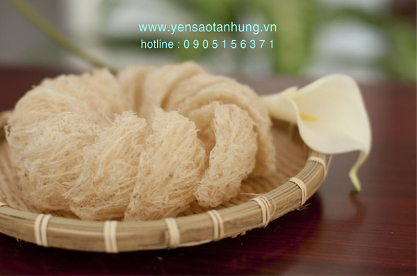 Yến Sào Cù Lao Chàm tại Hà Tĩnh