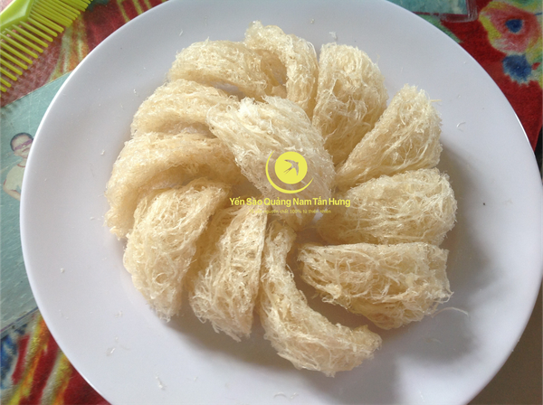 Yến Sào Cù Lao Chàm tại Tp Vinh