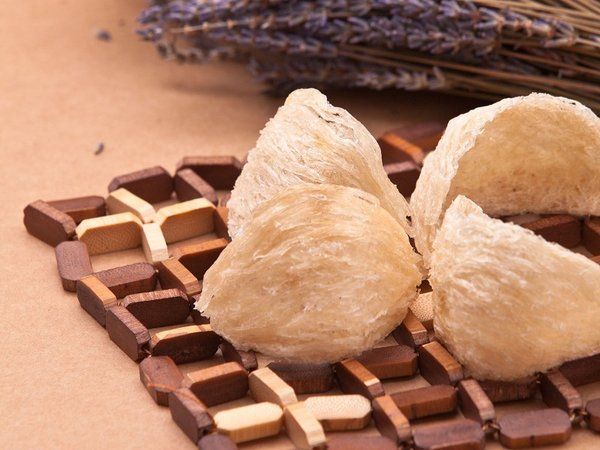 Cách bảo quản tổ yến chuẩn nhất - Yến Sào Tấn Hưng