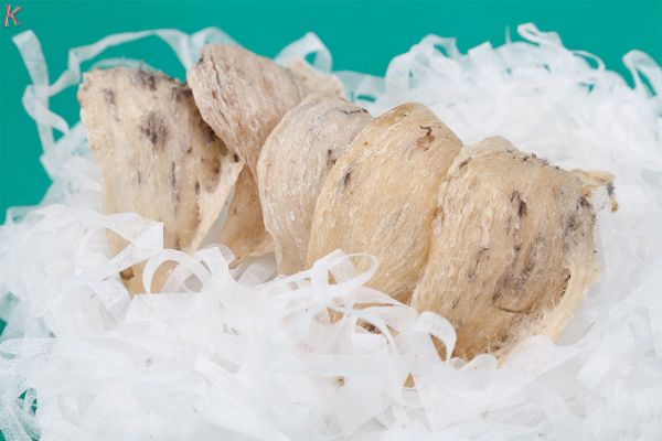 Yến Sào Cù Lao Chàm tại Đông Hà