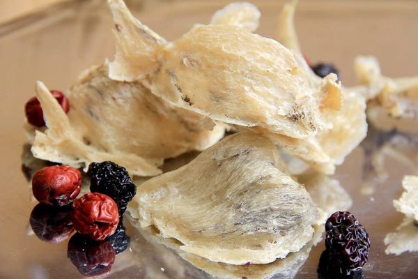 Những món ăn ngon từ tổ yến