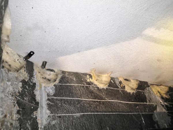 Tổ yến trên đá - Yến sào quảng nam Tấn Hưng