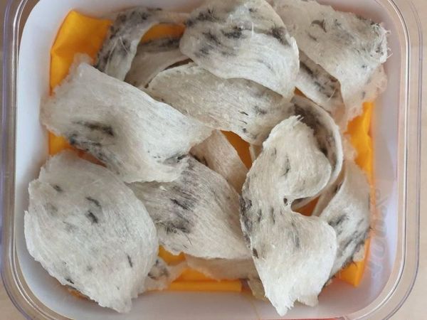 Yến Sào Cù Lao Chàm tại Phan Thiết