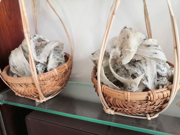 Yến Sào Cù Lao Chàm tại Quảng Nam