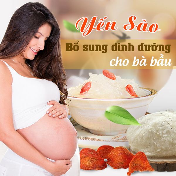 Bà bầu ăn yến sào được không? Lợi ích của việc ăn yến sào đối với bà bầu