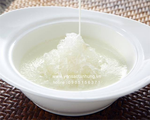 Yến Tươi và những điều cần biết