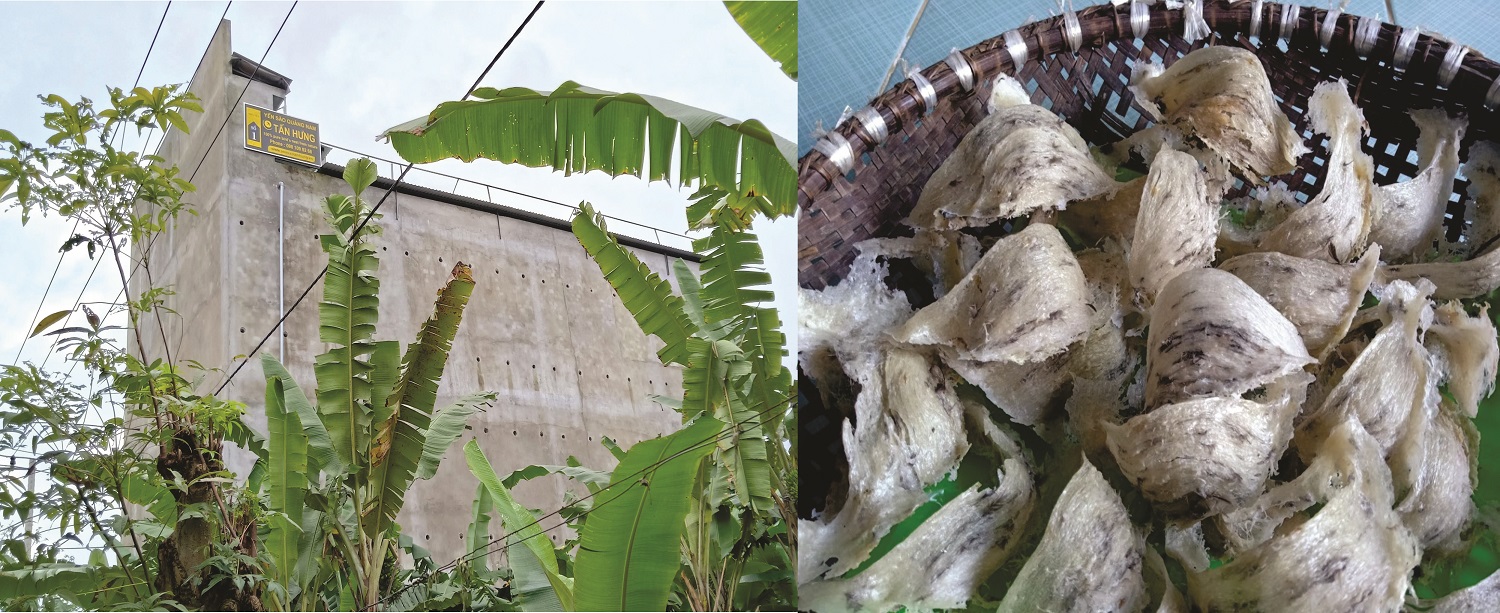 Yến Sào Tấn Hưng - Slide 1